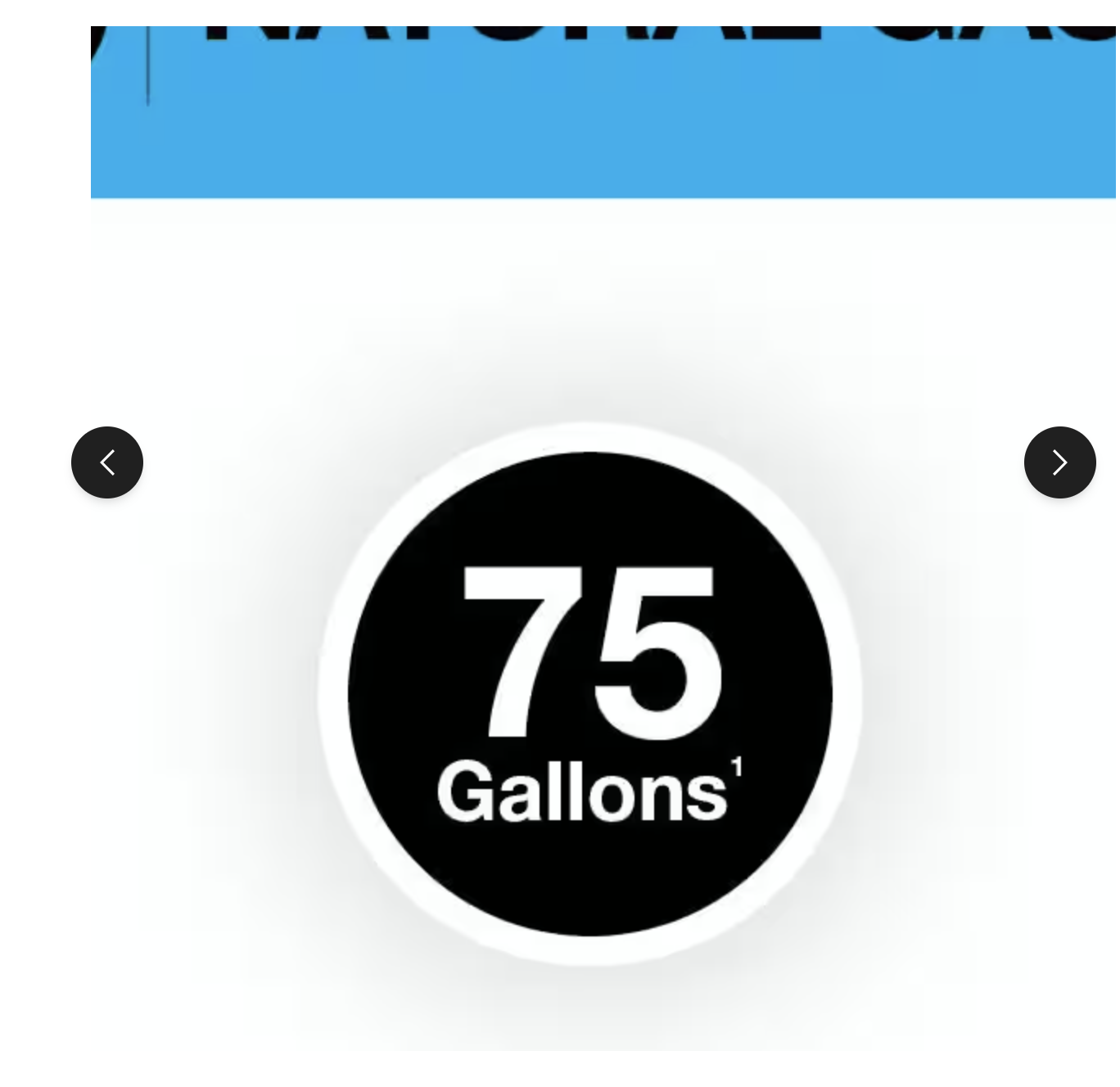 Rheem Performance 75 Gal. Tall 76,000 BTU Natural Gas Power Vent Water Heater - Image 6