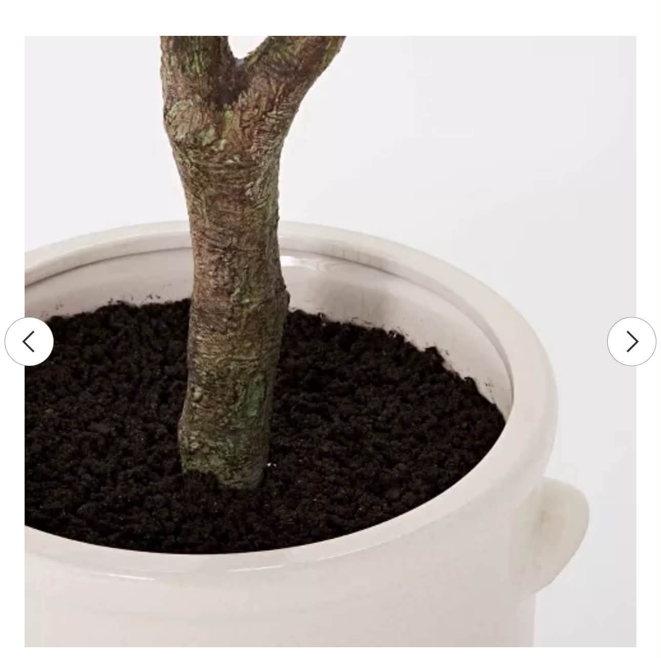 76.5x 30 Artificial Olive Tree in Ceramic Pot - Image 2