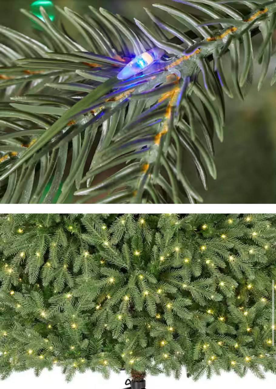 7.5 ft. Jackson Noble Fir LED Pre-Lit Artificial Christmas Tree T23 - Image 3